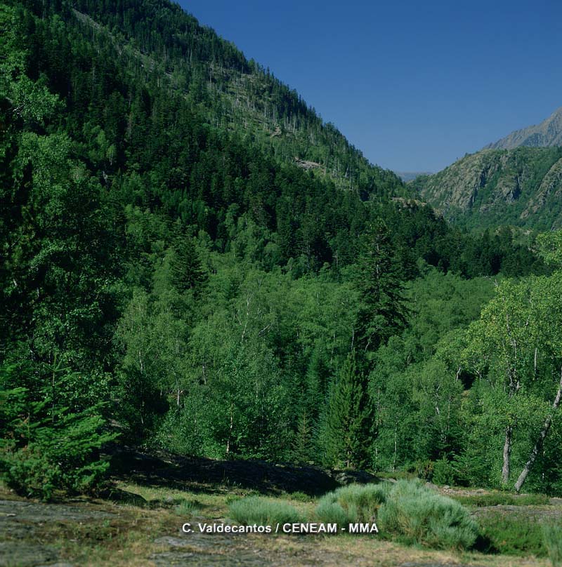 Good news: Ampliación de las Reservas de la Biosfera de la Mancha Húmeda (Castilla-La Mancha) y la de Montseny (Cataluña)