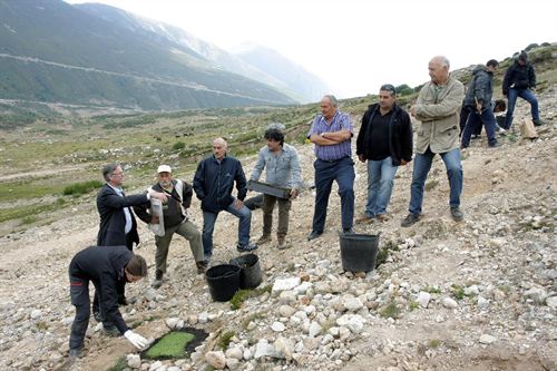 Voluntarios recogerán 10.000 esquejes en Alto Campoo para su uso en proyectos de restauración en el Hijar