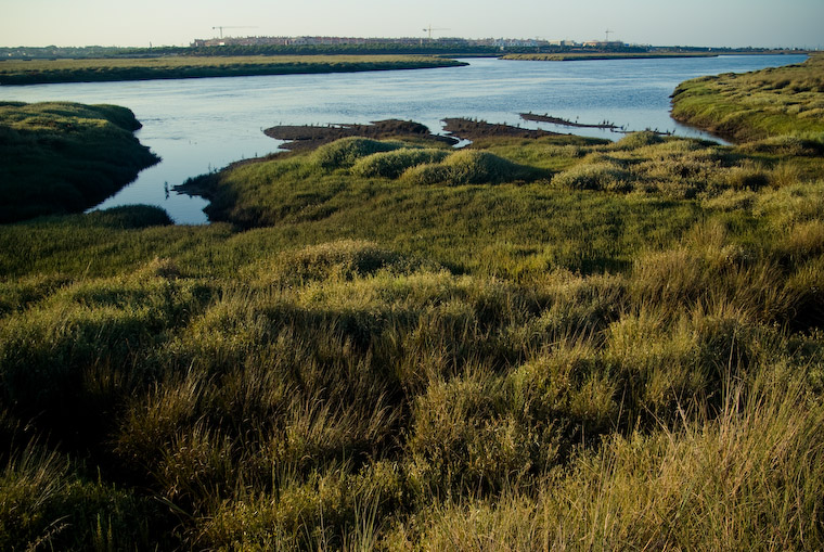 Jornada de puertas abiertas en Marismas del Odiel para celebrar la Red Natura 2000