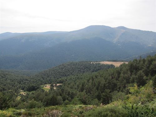 Descubre la Sierra de Guadarrama