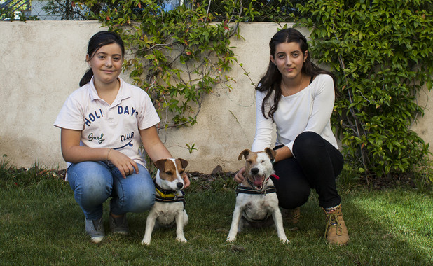 Dos perras huelen los cambios en los niveles de azúcar de sus dueñas