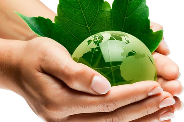 El máster online ‘definitivo’ en Gestión del Medio Ambiente