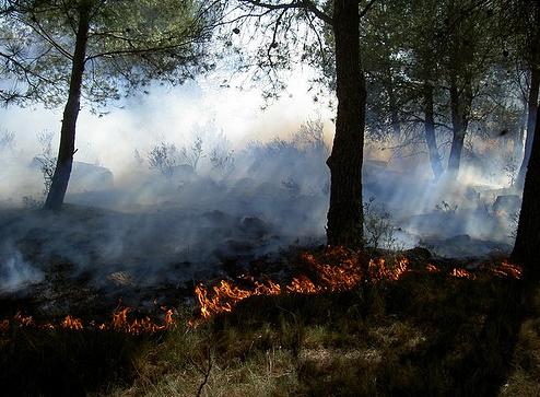 Ecologistas e ingenieros piden que se invierta más en prevención de incendios ante su aumento en 2009
