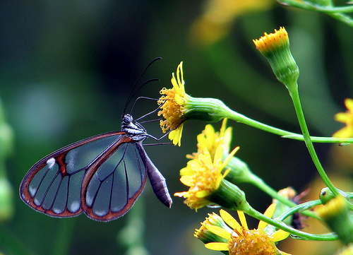 Programa de actividades Biodiversidad y Medio Ambiente