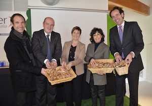 La biomasa forestal en la estrategia energética de Euskadi