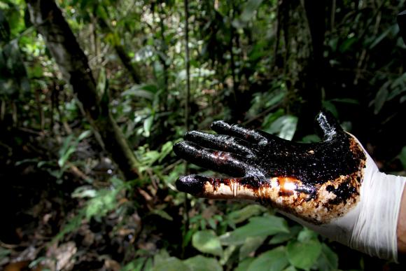 Canada avala la demanda de los indígenas ecuatorianos ante Chevron por contaminación ambiental