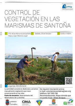 Se mejoran los hábitats de aves acuáticas en las Marismas de Santoña