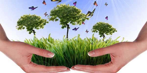 Infórmate aquí sobre este master en Medio Ambiente y Diagnosis Ambiental