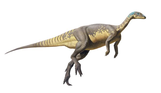 Nueva especie de dinosaurio del Jurásico ibérico