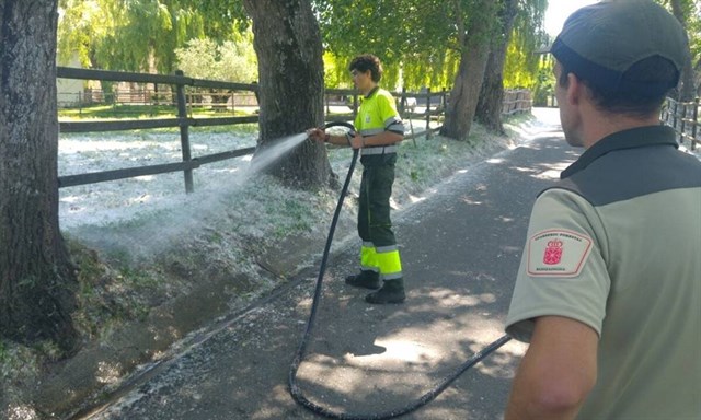 La primera campaña de prevención de incendios por pelusa de chopo minimiza este riesgo