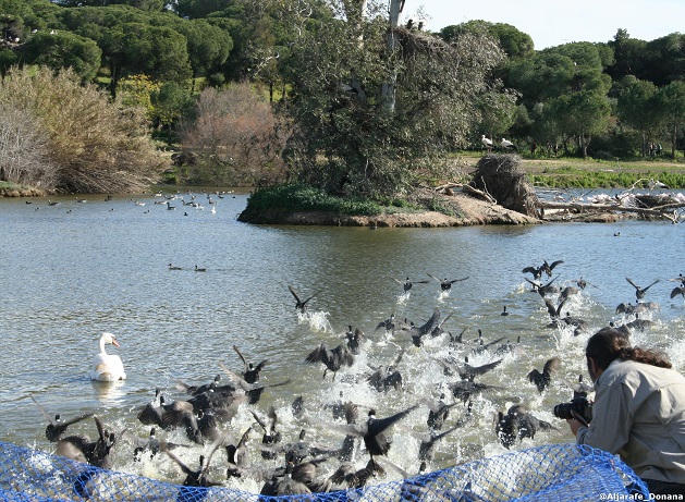 ADAD promociona la Red de Senderos Ornitológicos en los actos comarcales del Día de los Humedales