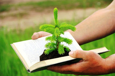 Te interesa la comunicación y la educación ambiental