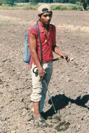 La utilización de pesticidas tóxicos sigue creciendo