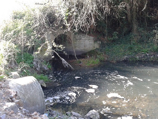 Asturias. Vertidos contaminantes al rió Nora en la Corredoria-Oviedo