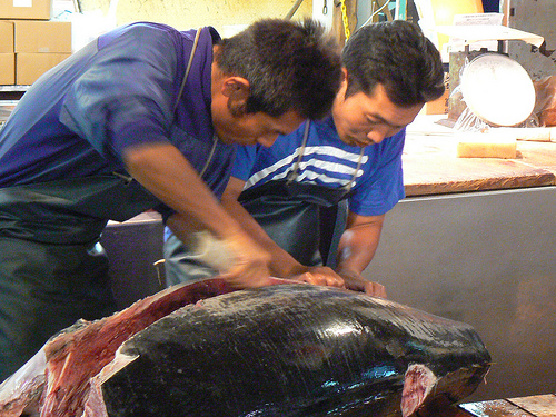 Oceana afirma que los países de Iccat han dejado atún rojo en manos de la industria