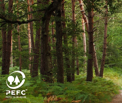 Muy buena noticia para los bosques: APP incrementa la disponibilidad de productos certificados PEFC