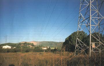 Endesa implementa medidas para evitar la electrocución de aves en Garraf y Alt Penedès (Barcelona)