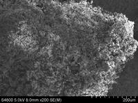 Biocidas que atacan solo a los insectos