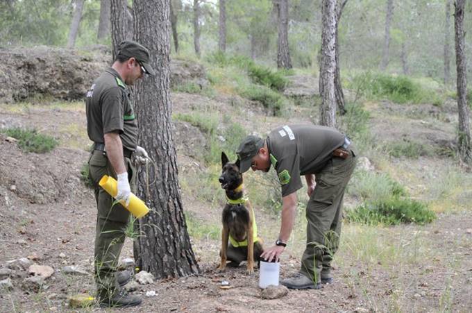 38.929 actuaciones en Murcia de control