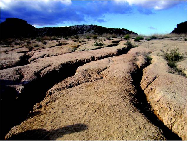 Los suelos más cálidos liberan CO2 adicional a la atmósfera
