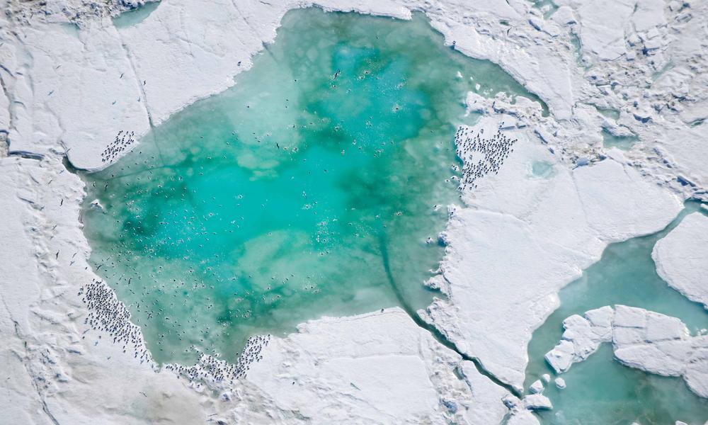 Estados Unidos y Canadá ‘se ponen las pilas’ y protegen las áreas marinas más importantes del Ártico