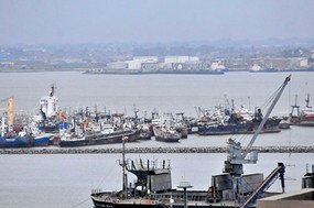 Crece el número de especies amenazadas en Uruguay