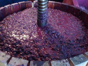 Se puede generar riqueza con los residuos del vino