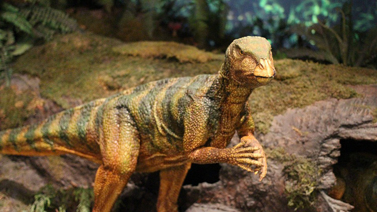 Qué sabemos de la ‘zona cero’ del meteorito que provocó la extinción de los dinosaurios