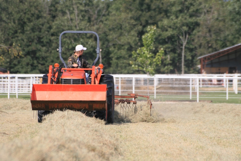El 85% del territorio español demanda negocios sostenibles relacionados con el sector agrario