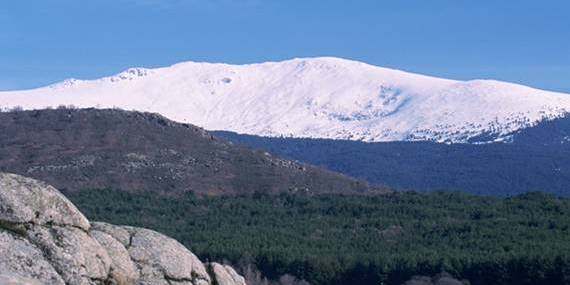 Medio Ambiente participa activamente en el Congreso Mundial de Parques que se celebra en Sidney (Australia)