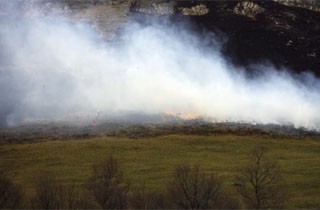 Extinguido un incendio intencionado que calcinó 5
