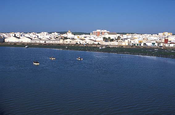 Cádiz. Ecologistas elevan casi 500 alegaciones al PGOU de Barbate