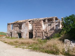 Cuidando el Cernícalo primilla en Baena