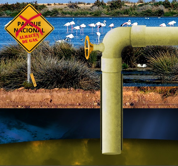 Nace la Iniciativa Social por Doñana contra los proyectos de gas