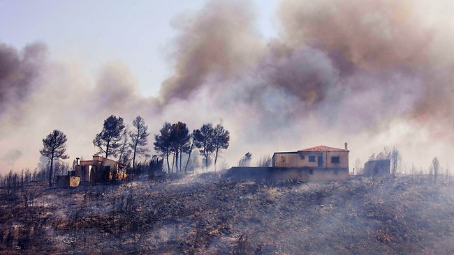 Limpiar y desbrozar el monte quemado en Valencia ‘solo’ habría costado 4 millones de euros