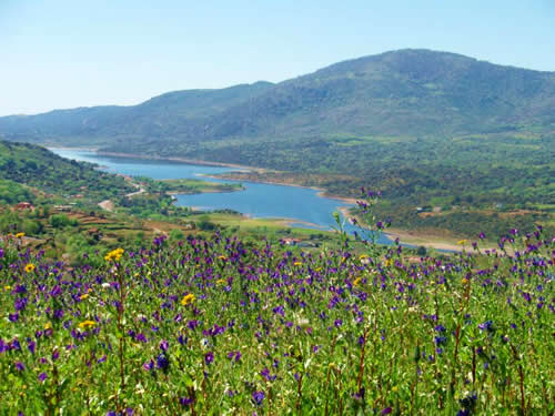 Extremadura. El PSOE denuncia que las aulas y centros de interpretación de la naturaleza están cerrados