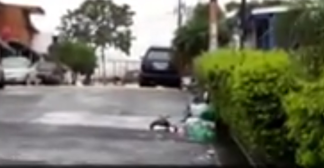 Costa Rica. Montañas de basura ahogan a Hatillo