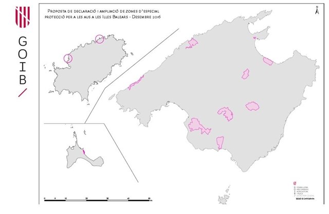 Baleares protegerá con más de 11.000 hectáreas a sus aves