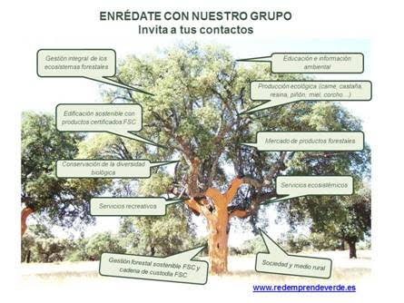 Grupo emprendeverde “Certificación FSC