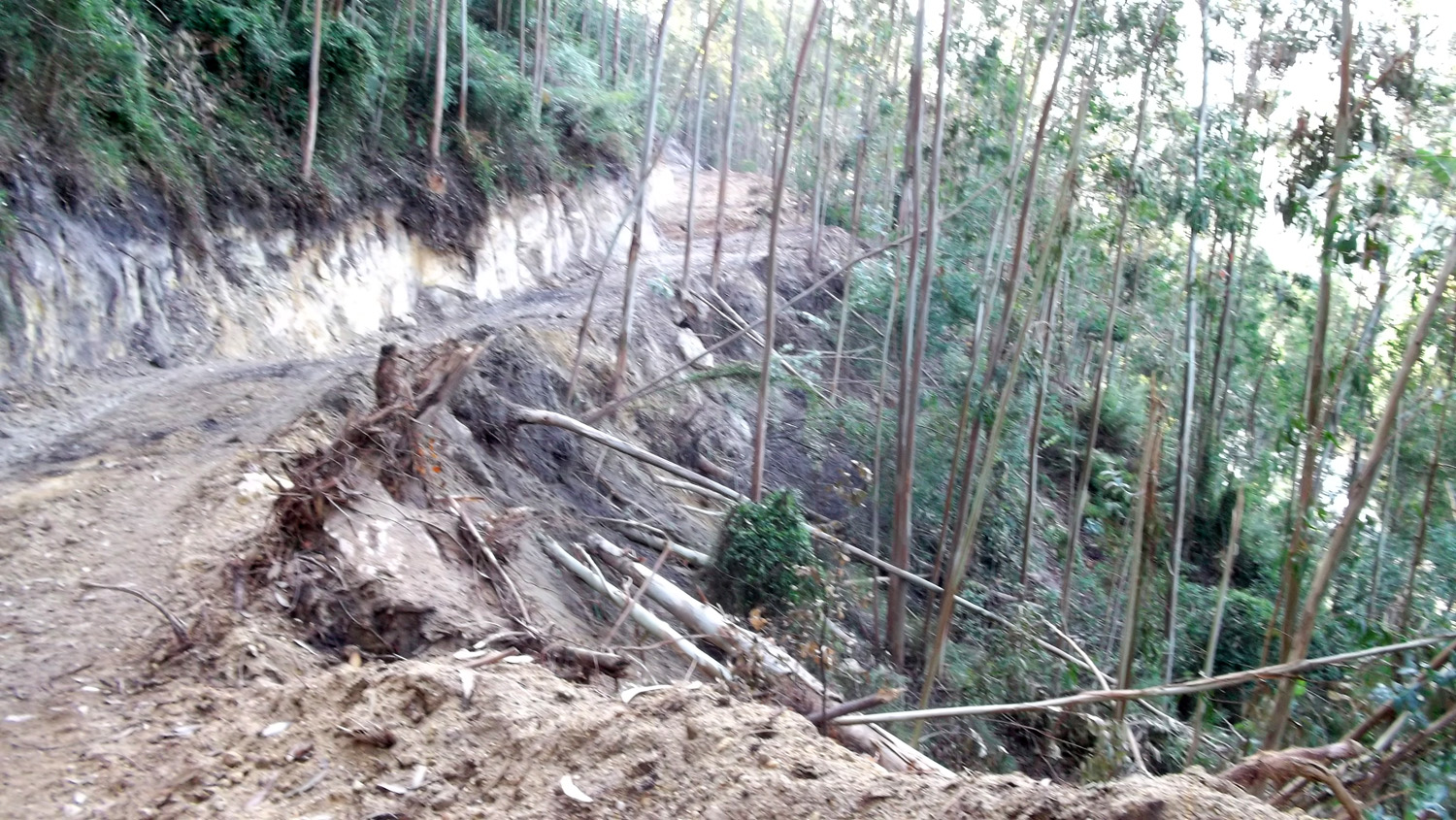 Pista ilegal en servidumbre de protección en el Rio Deva en Vilde-Asturias