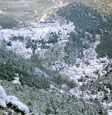 La Consejería invierte 2