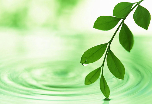 Aprende todo lo relacionado con la gestión del medio ambiente con este máster online