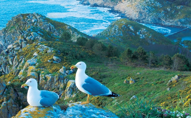 El Doctor Francisco Peña Castiñeira  sobre el Simposio Internacional sobre Medio Ambiente y Salud: ‘Muy productiva y altamente provechosa’