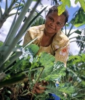 Brasil. Ministerio de Agricultura recibirá donación para incentivar la producción agrícola con bajo nivel de emisiones de carbono
