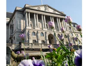 ‘Teeth’ needed for U.K.’s environmental investment pool – C.B.I.