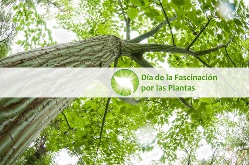 La ULE celebra el IV Día Internacional de la Fascinación por las Plantas