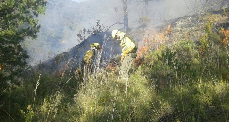 Estabilizado el incendio de Atarés en el que arden más de 130 hectáreas