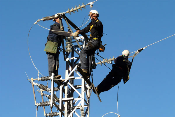 Reforma de las líneas eléctricas en Girona para proteger la avifauna