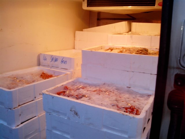 Decomisan en Málaga más de 3.400 kilos de pescado y marisco ilegal y 13 embarcaciones furtivas que capturaban inmaduros