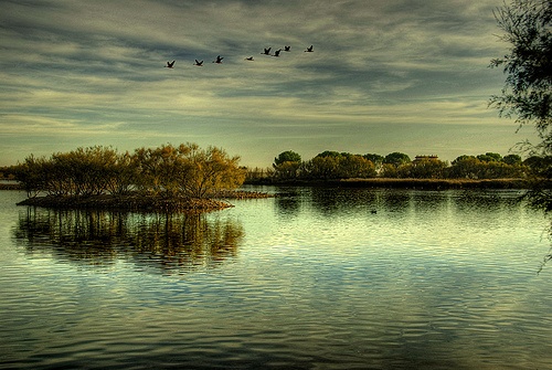 Crean un visor cartográfico sobre los yacimientos de las Lagunas de Villafáfila